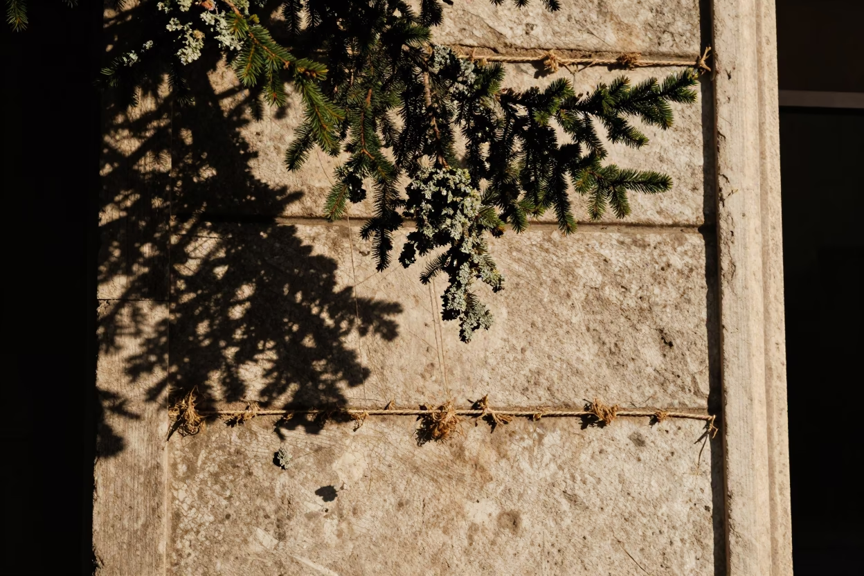 Late Afternoon Street Scene in Milan Italy with Lichen and Twine Details in in Milan, Italy