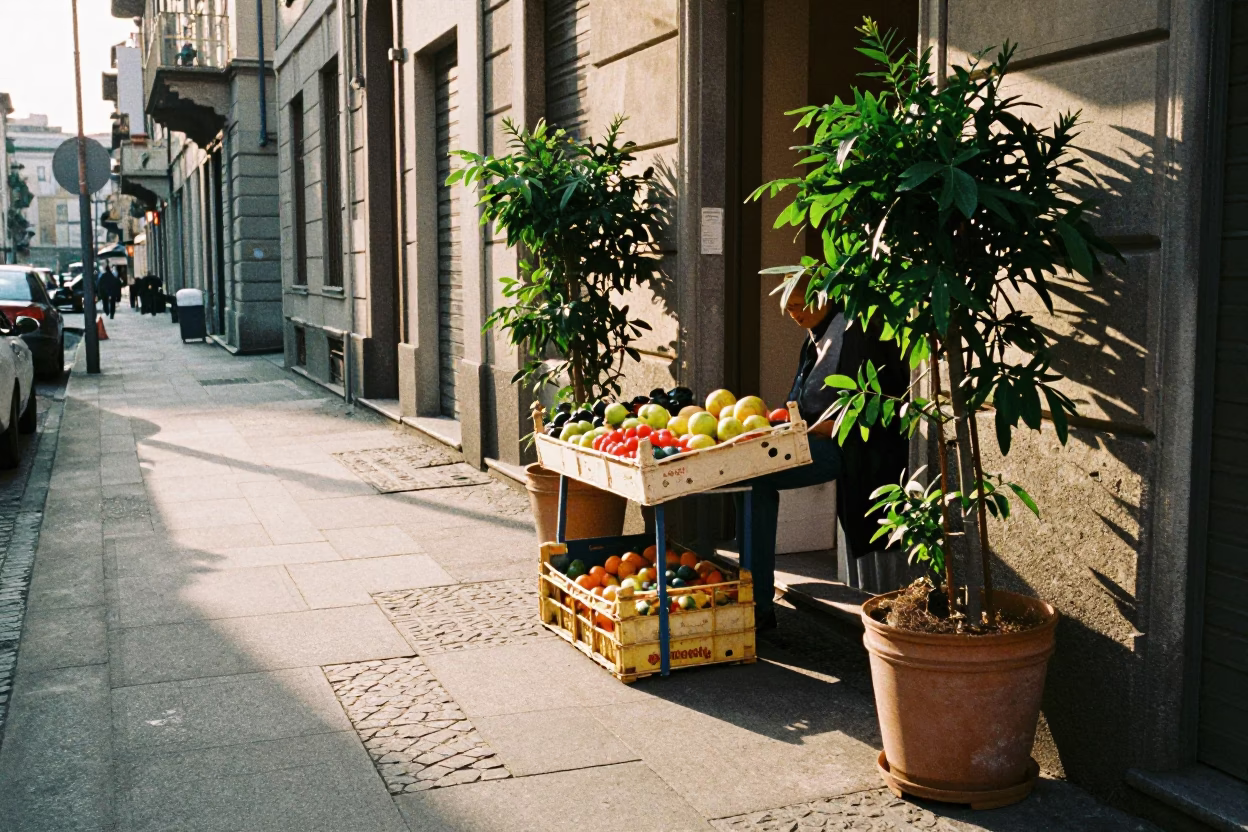 Late Afternoon Street Scene in Milan Italy with Papyrus Plants and Urban Details in in Milan, Italy