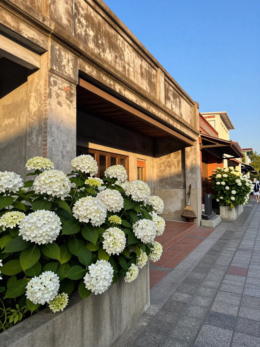 Late Afternoon Street Scene in Tainan Taiwan with Hydrangeas and Brushed Steel Doorframe in in Tainan, Taiwan