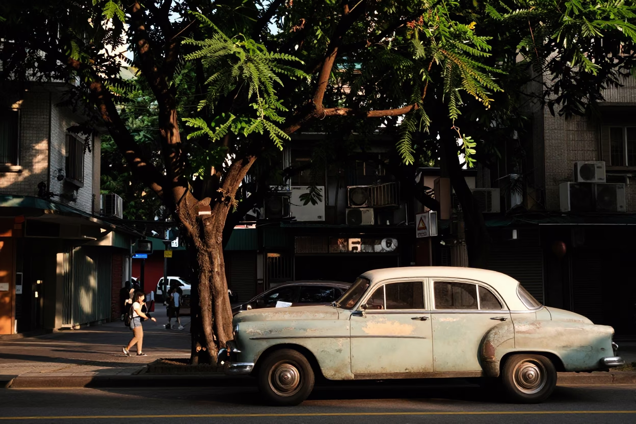 Late Afternoon Street Scene in Taipei Taiwan with Tree and Vintage Elements in in Taipei, Taiwan