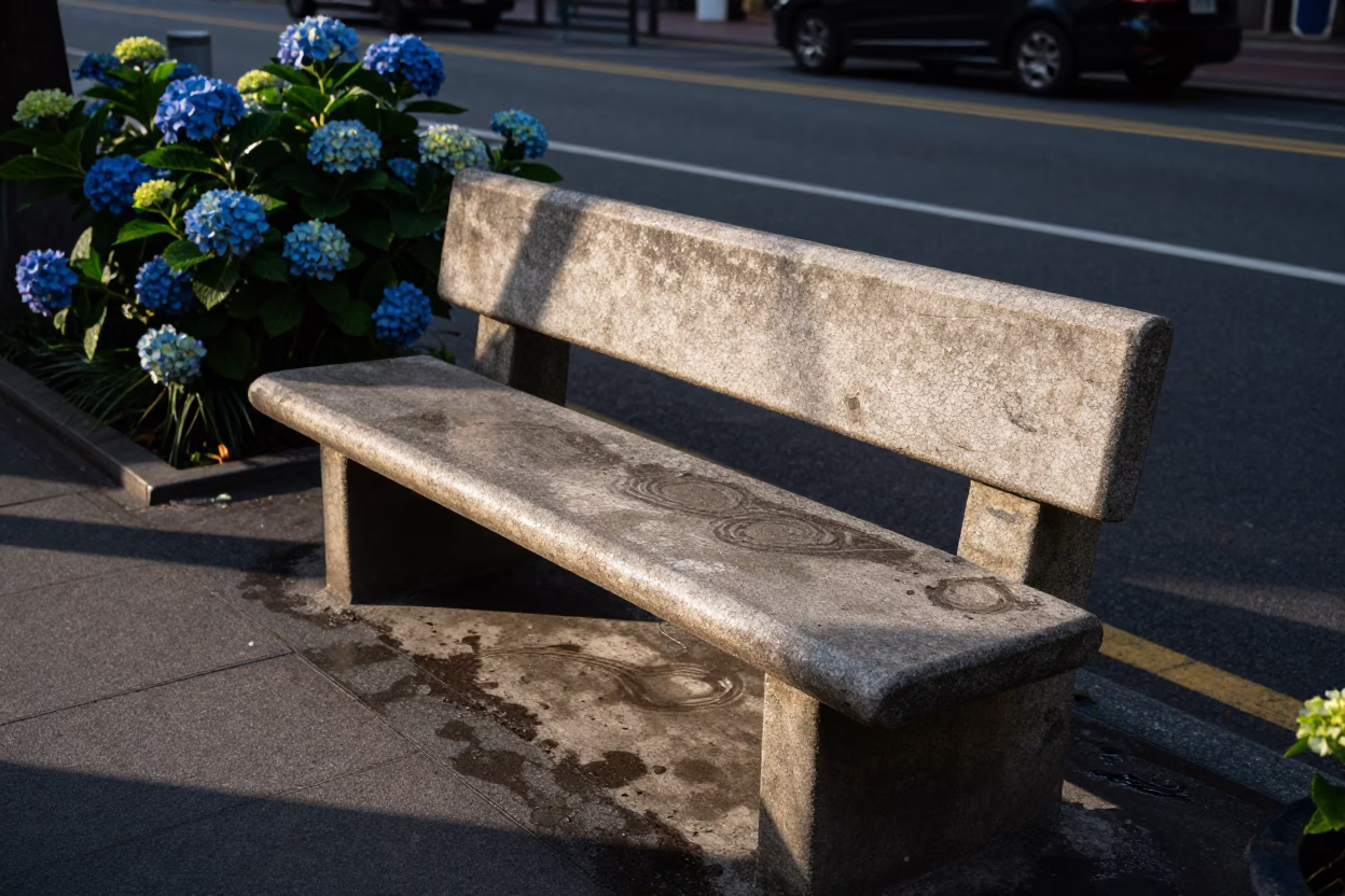 Late Afternoon Street Scene in Taipei with Hydrangeas and Water Rings on Bench in in Taipei, Taiwan