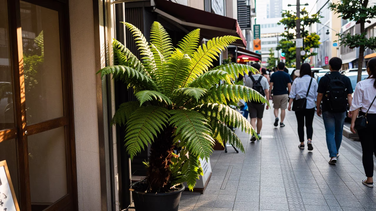 Late Afternoon Street Scene in Tokyo Japan with Ferns and Local Life in in Tokyo, Japan