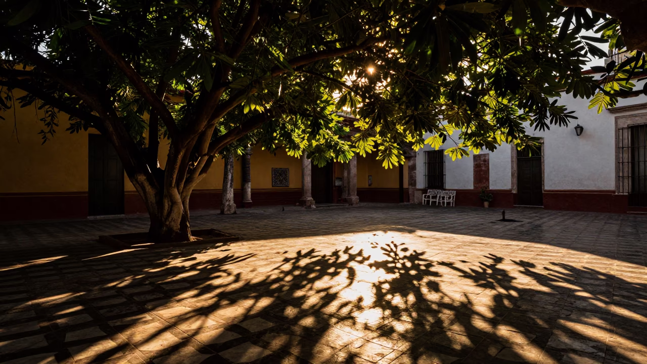 Late Afternoon Sunlight and Leaf Shadows on Tiled Floor in Merida Mexico in in Merida, Mexico