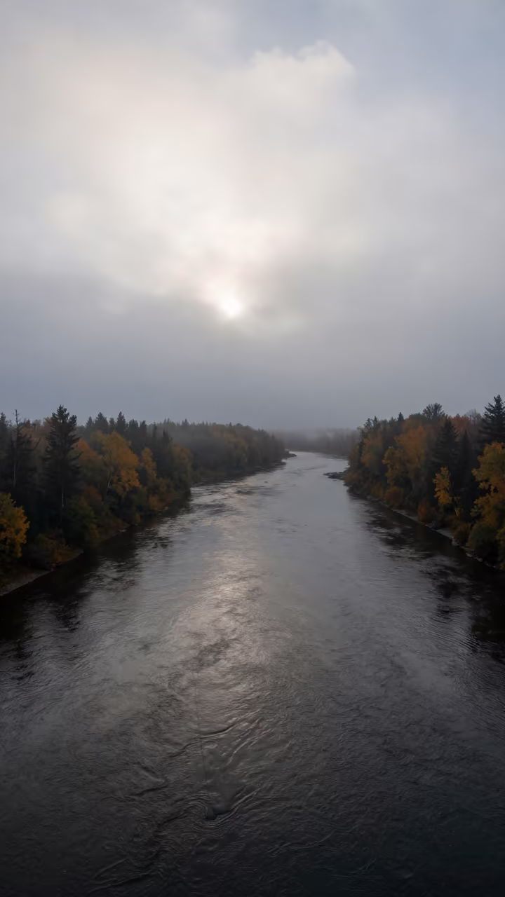 Late Autumn Fog Over River Valley in through low marine fog in Canada