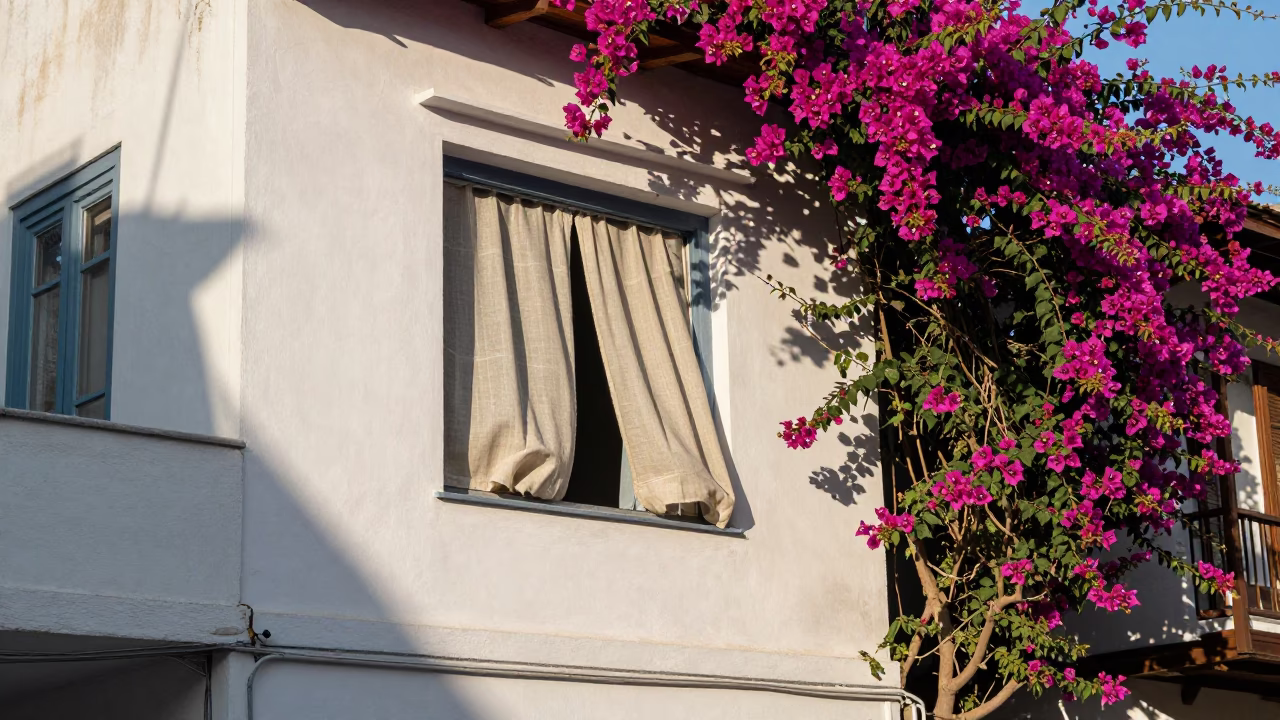 Late Morning Athens Greece Street Scene with Bougainvillea and Linen Curtains in in Athens, Greece