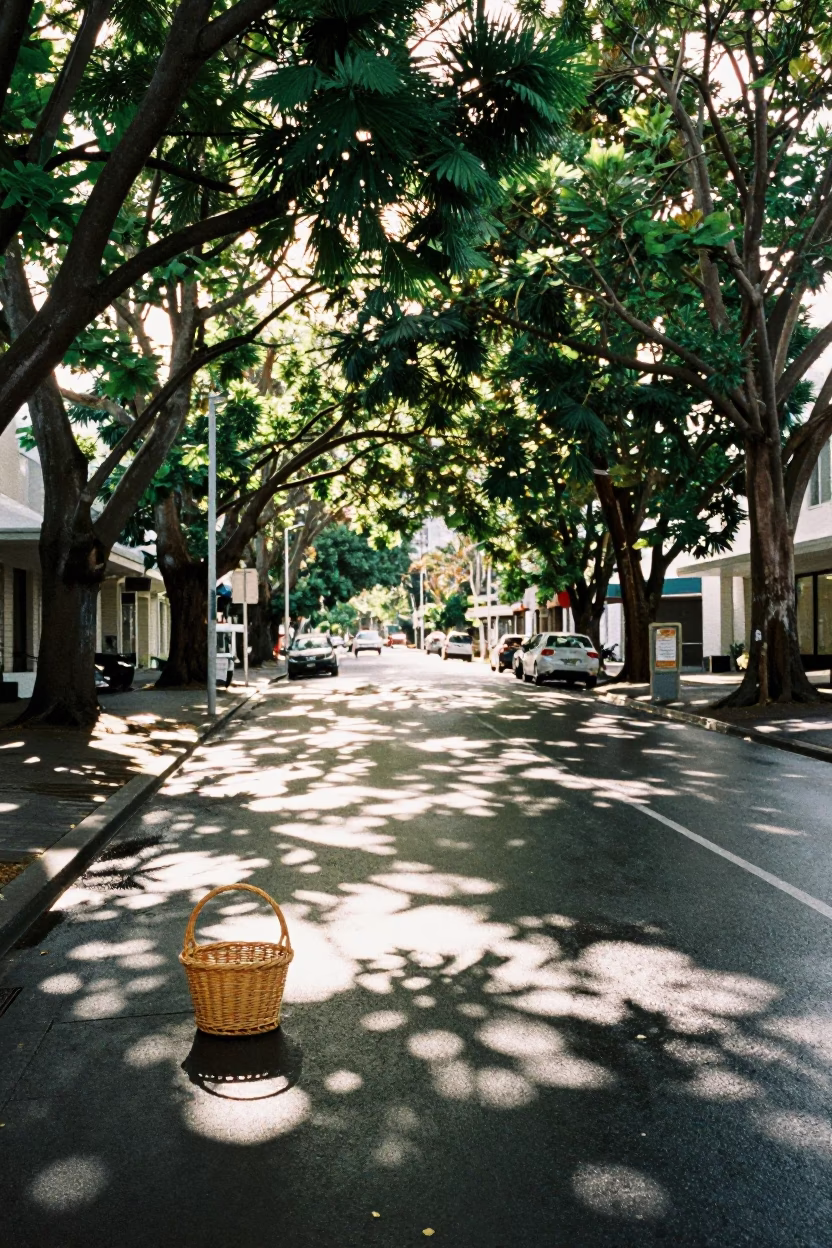 Late Morning Street Scene in Auckland New Zealand with Wicker Basket in in Auckland, New Zealand