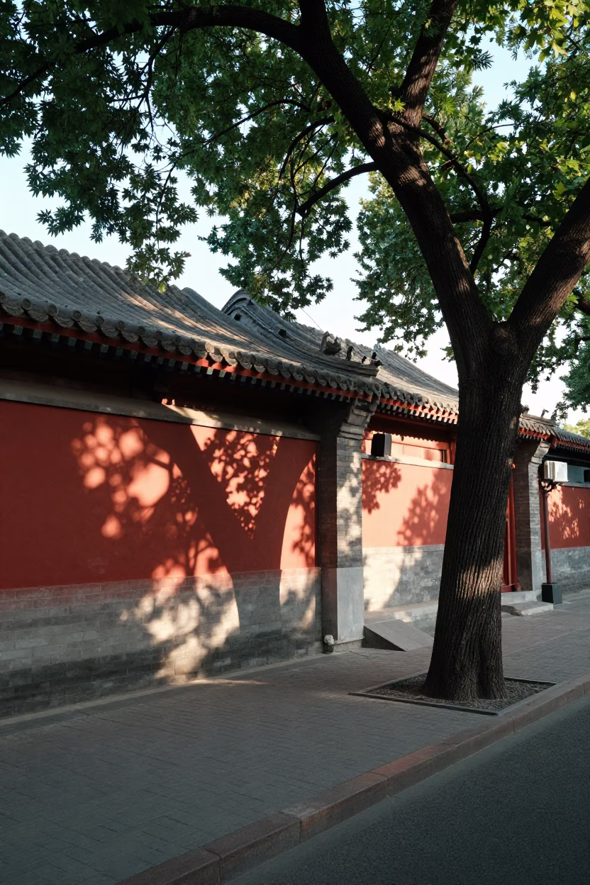 Late Morning Street Scene in Beijing China with Tree Shade and Local Life in in Beijing, China