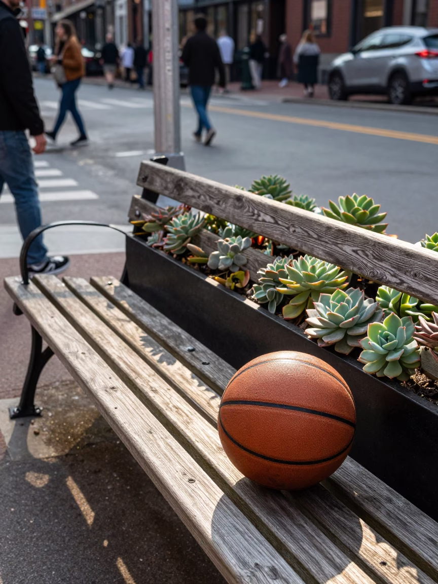 Late Morning Street Scene in Boston Massachusetts with Succulents and Leather Basketball in in Boston, Massachusetts, United States