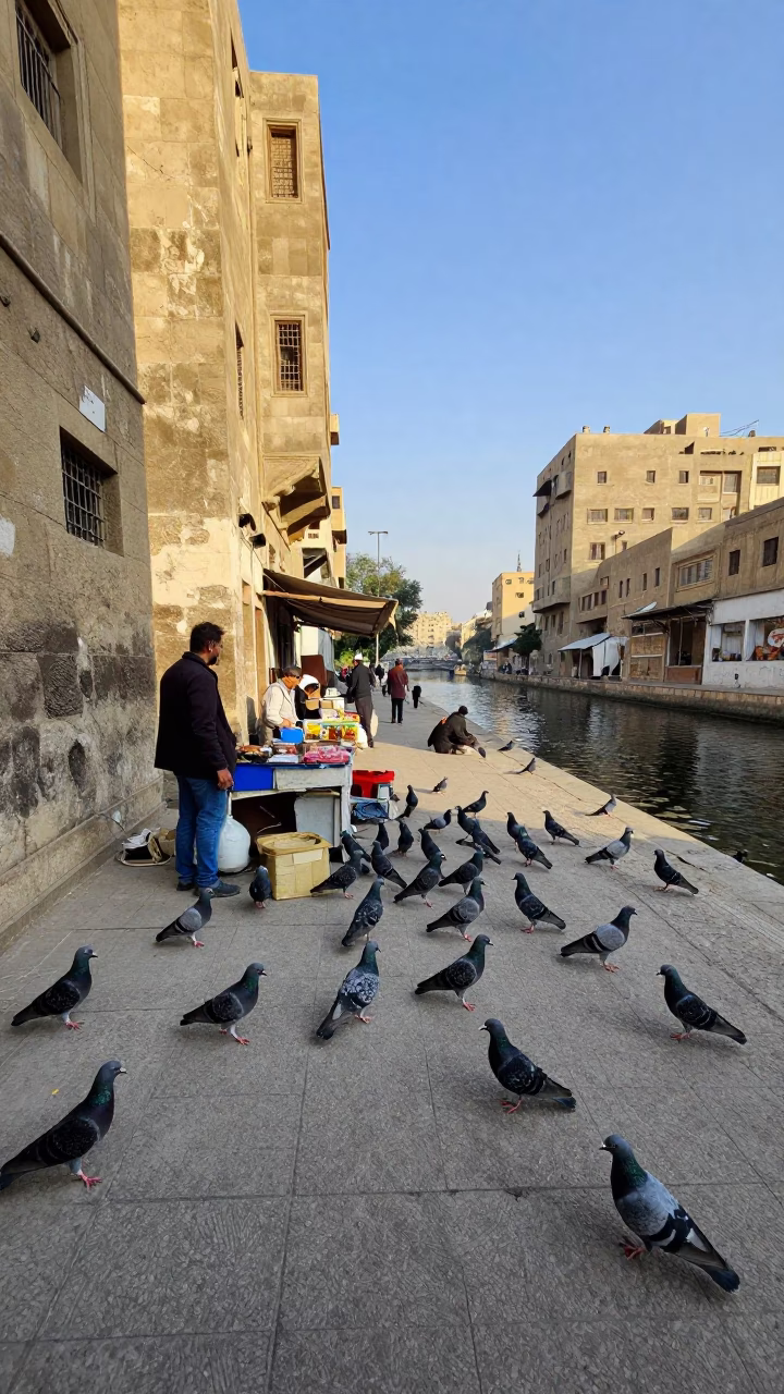 Late Morning Street Scene in Cairo Egypt with Pigeons and Canal Barge in in Cairo, Egypt