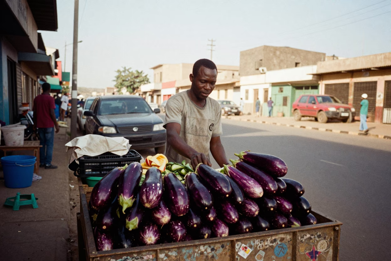 Late Morning Street Scene in Dakar Senegal with Eggplants and Cargo Bicycle in in Dakar, Senegal