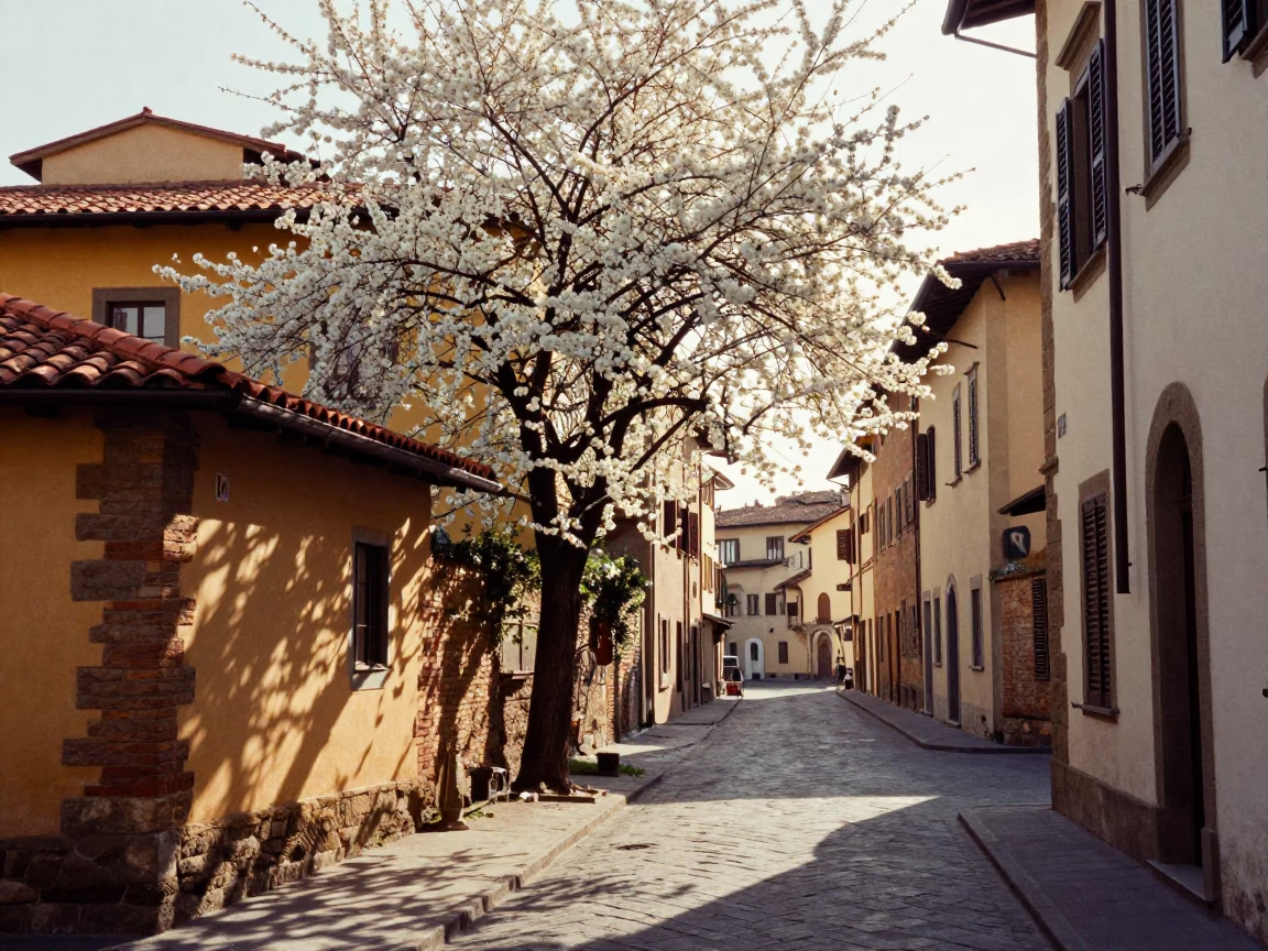 Late Morning Street Scene in Florence Italy with Cherry Blossoms and Traditional Architecture in in Florence, Italy
