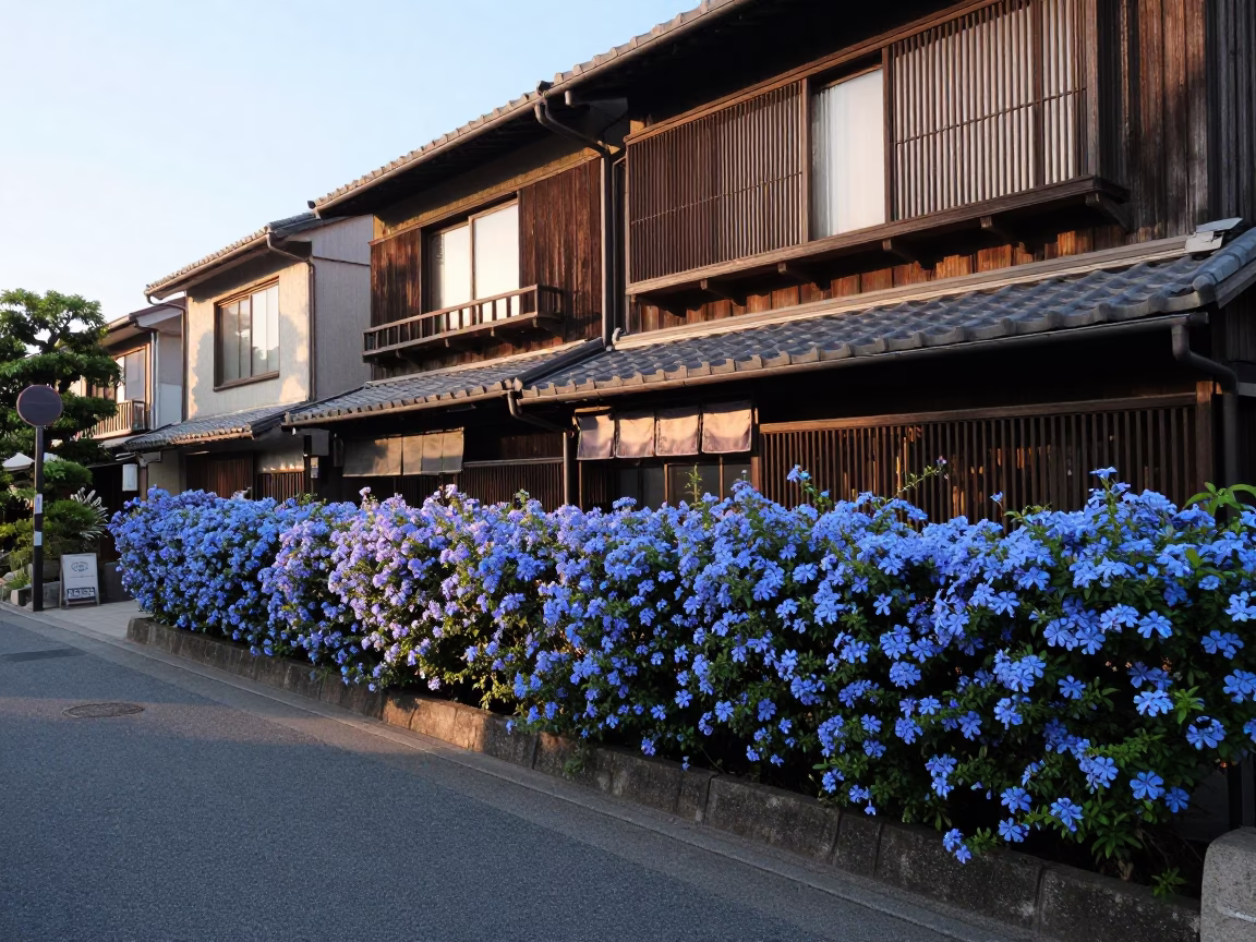 Late Morning Street Scene in Fukuoka Japan with Blue Plumbago Hedge and Traditional Architecture in in Fukuoka, Japan