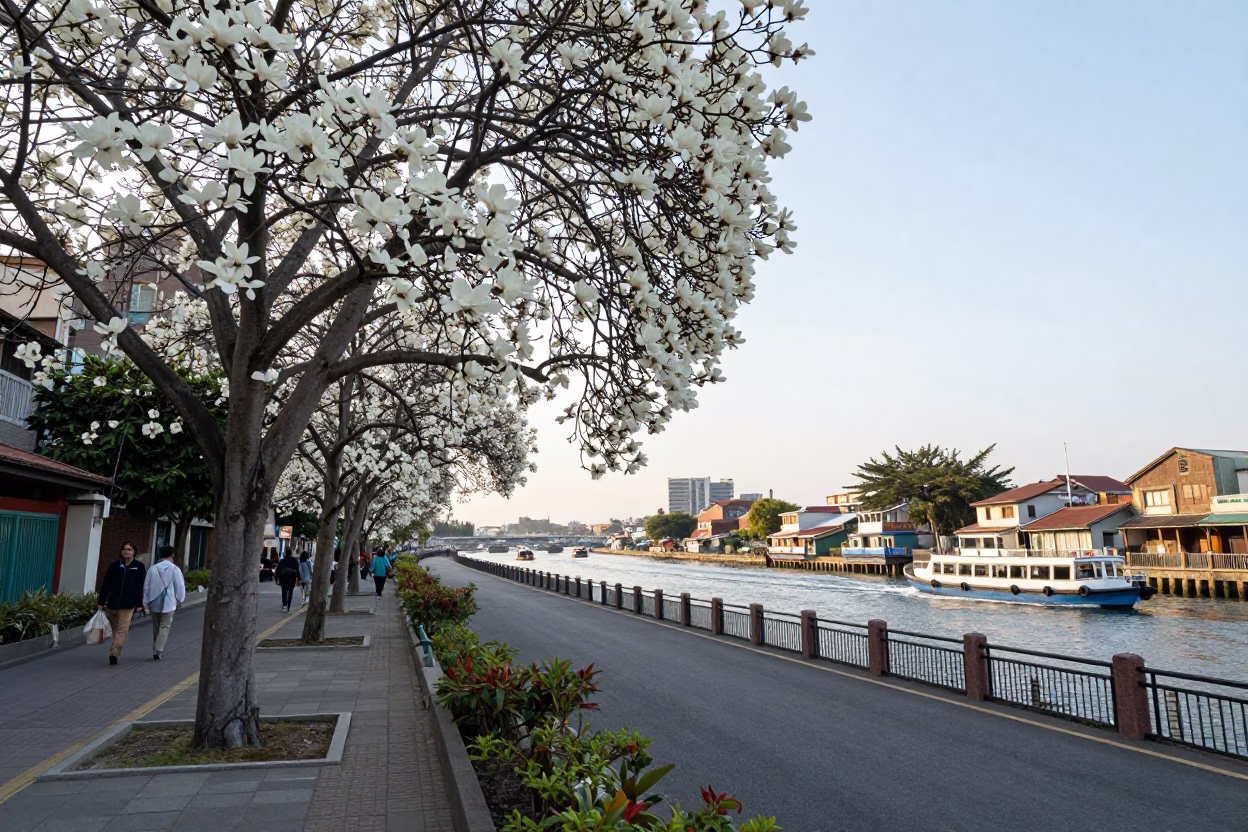 Late Morning Street Scene in Kaohsiung Taiwan with Magnolia Tree and Water Taxi in in Kaohsiung, Taiwan