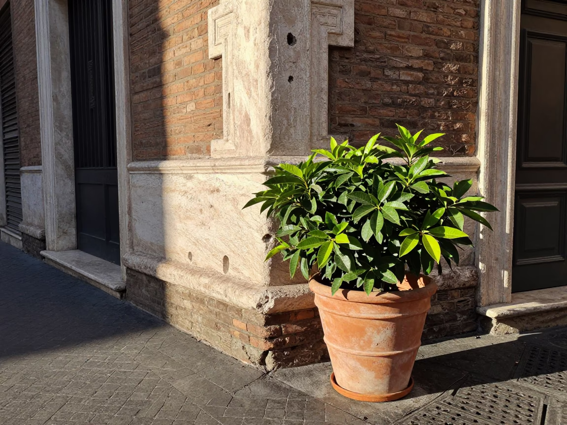 Late Morning Street Scene in Rome Italy with Terracotta Pot and Urban Details in in Rome, Italy