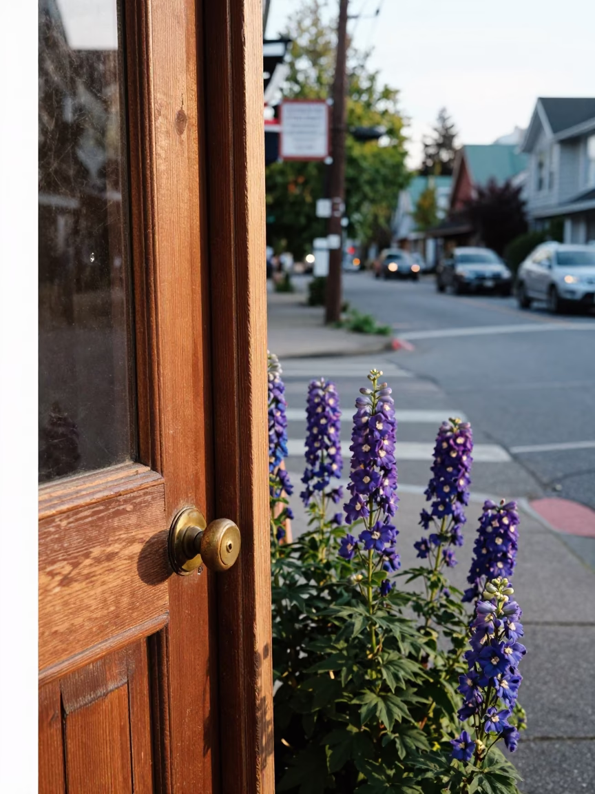 Late Morning Street Scene in Vancouver British Columbia with Delphinium Border and Doorknob in in Vancouver, British Columbia, Canada