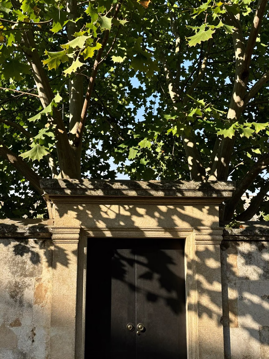 Late Morning Sunlight and Leaf Shadows on a Doorframe in Nice France in in Nice, France