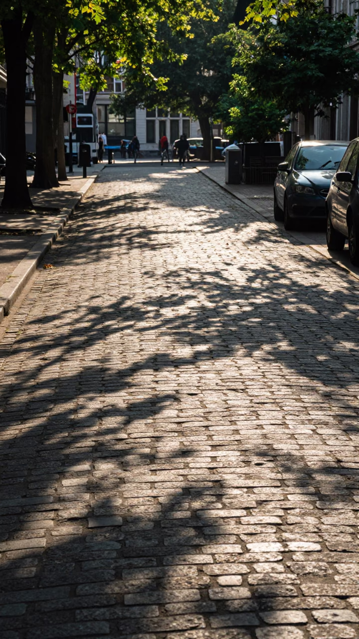 Late Morning Sunlight and Leaf Shadows on Cobblestone Street in Brussels Belgium in in Brussels, Belgium