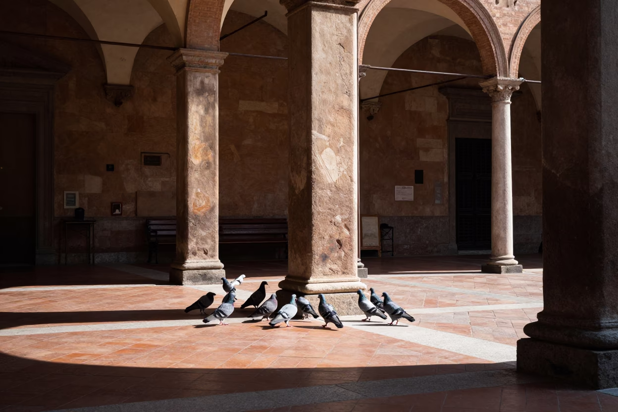 Late morning sunlight on Bologna porticoes with pigeons and urban street life in in Bologna, Italy