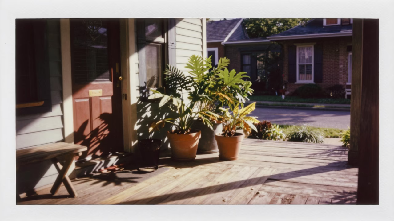 Late Morning Sunlight on Nashville Tennessee Porch with Houseplant and Mint Leaves in in Nashville, Tennessee, United States