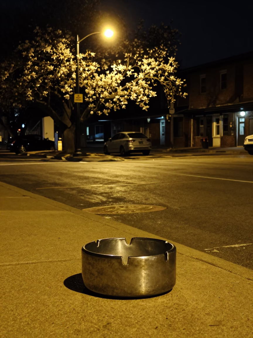 Late Night Austin Texas Street Scene with Ashtray and Magnolia Tree in in Austin, Texas, United States