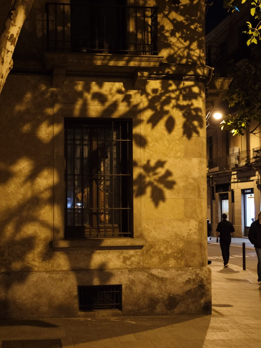 Late Night Barcelona Street Scene with Leaf Shadows on Window Glass and Wall Shelf in in Barcelona, Spain