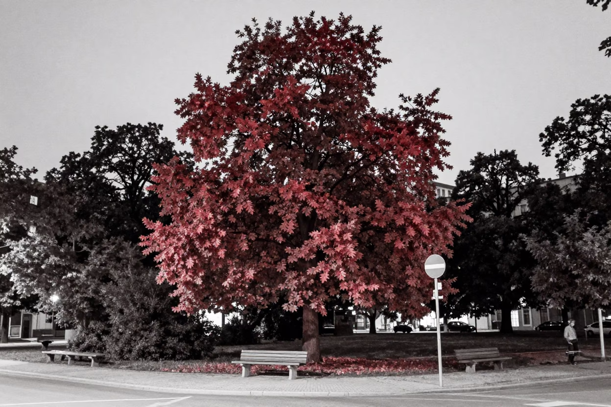 Late Night Berlin Street Scene with Copper Beech Tree and Garden Gate in in Berlin, Germany