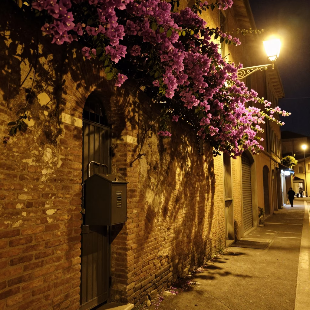 Late Night Bologna Street Scene with Bougainvillea and Vintage Lockbox in in Bologna, Italy