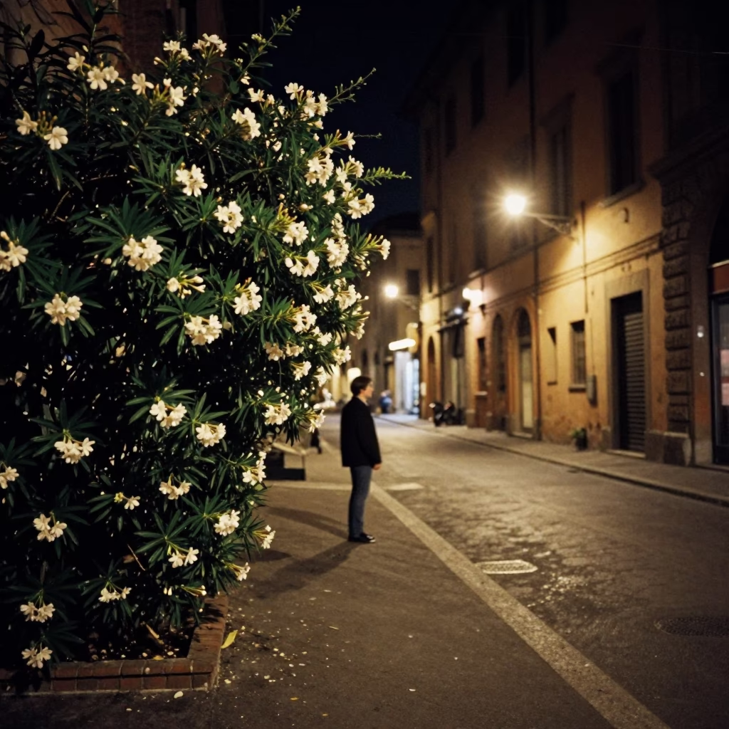 Late Night Bologna Street Scene with Oleander Hedge and Mortar Pestle in in Bologna, Italy