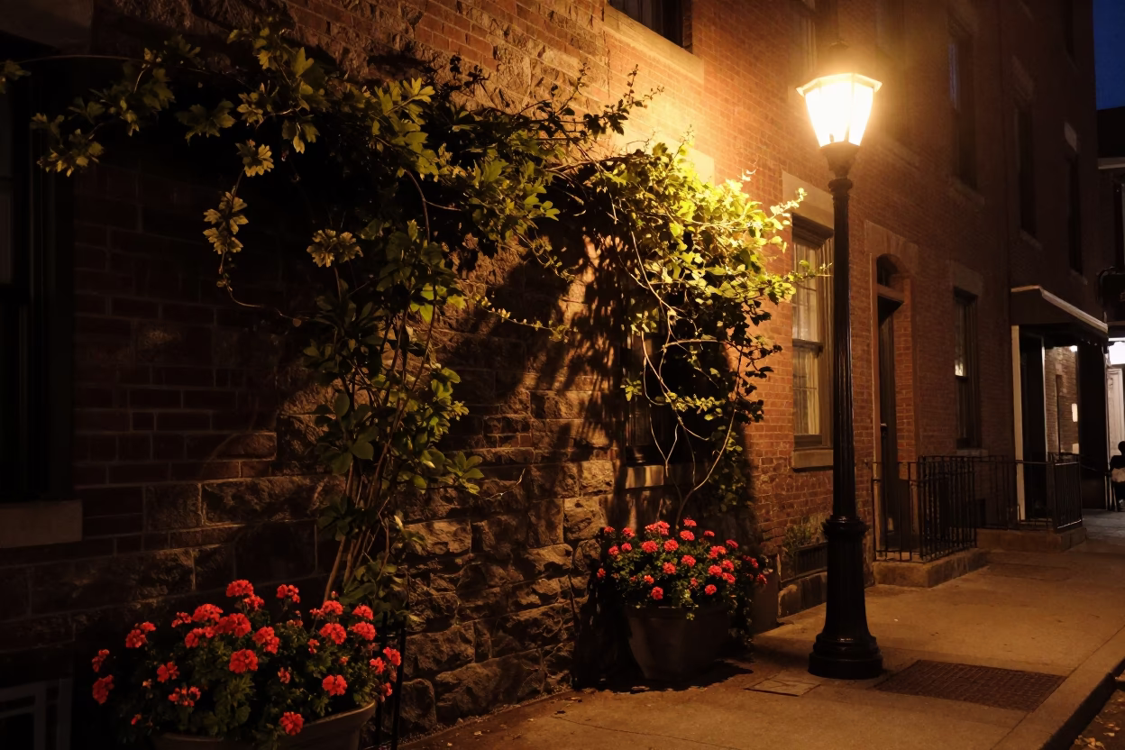 Late Night Boston Street Scene with Vine and Geraniums in Massachusetts in in Boston, Massachusetts, United States