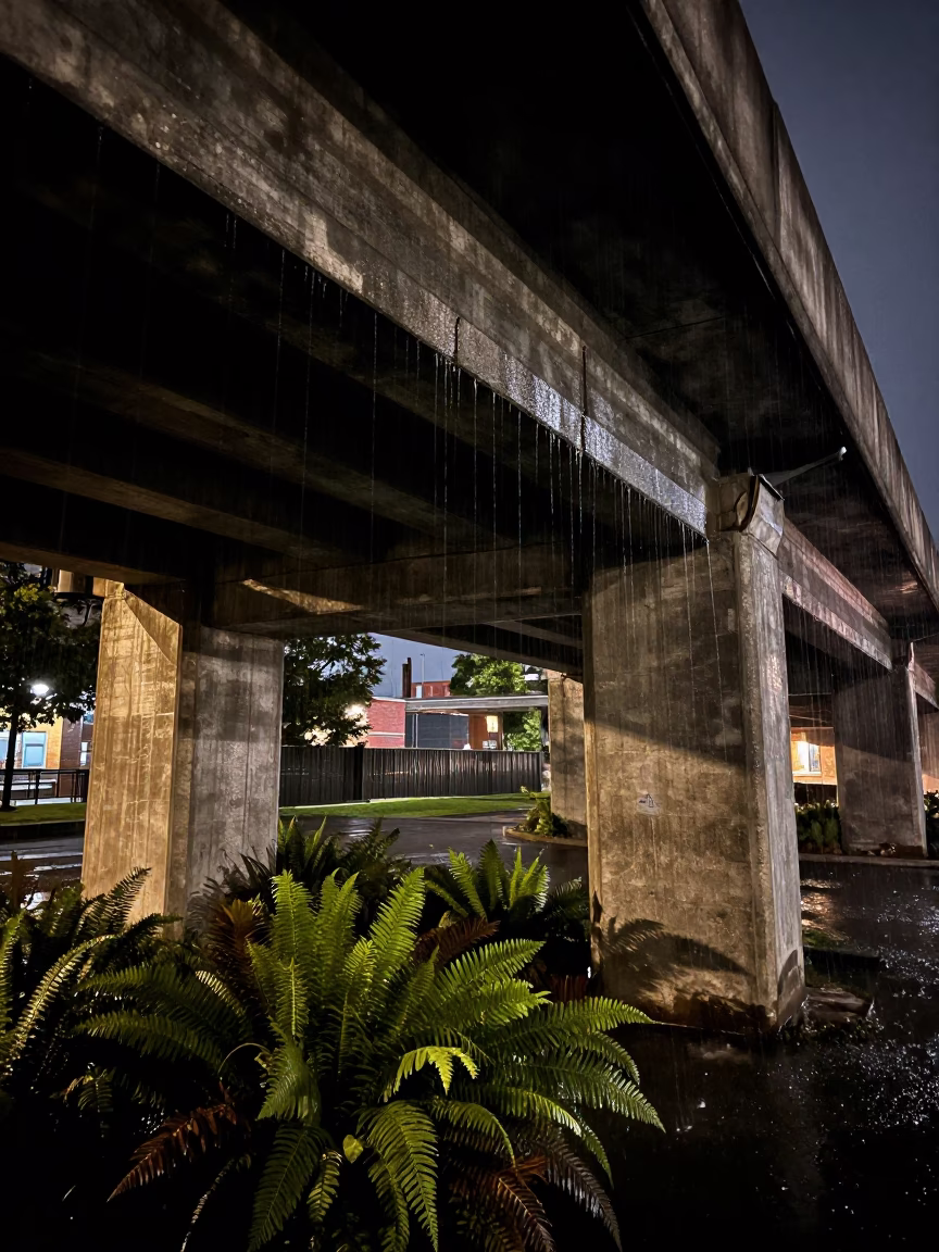 Late Night Boston Viaduct Undercroft Dripping Water onto Ferny Stone in in Boston, Massachusetts, United States