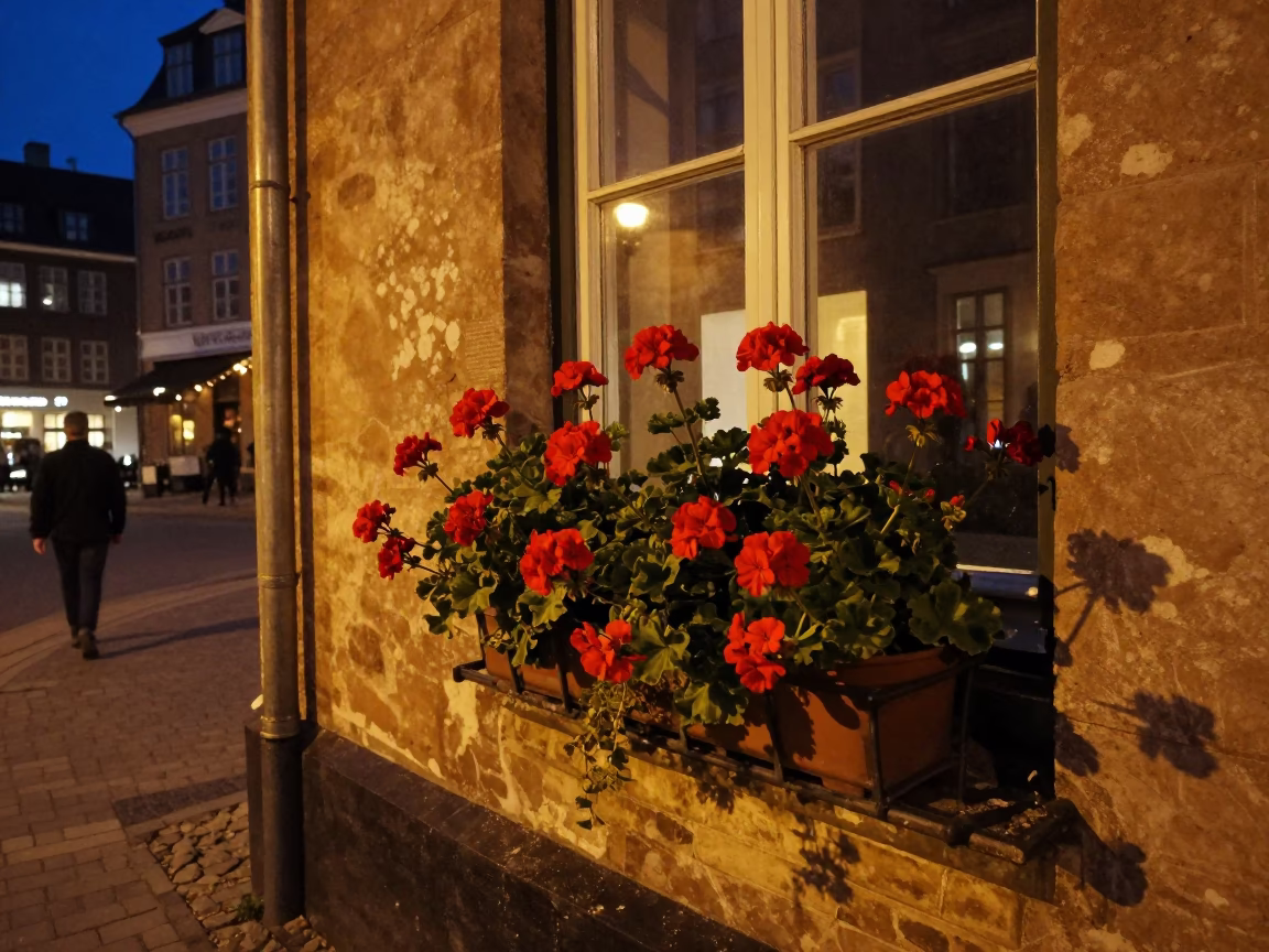 Late Night Copenhagen Street Scene with Geraniums and Vintage Details in in Copenhagen, Denmark