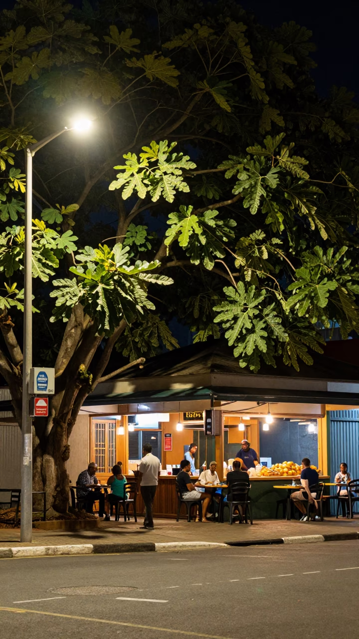 Late Night Durban Street Scene with Fig Tree and Glass Tray Reflections in in Durban, South Africa
