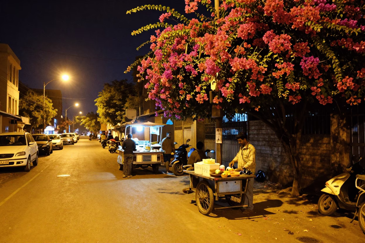 Late Night Hyderabad Street Scene with Bougainvillea and City Lights in in Hyderabad, India