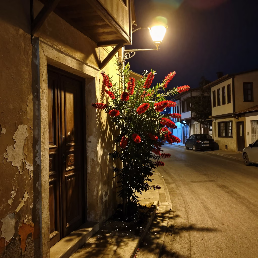 Late Night Izmir Street Scene with Bottle Brush and Dust on Doorframe in in Izmir, Turkey