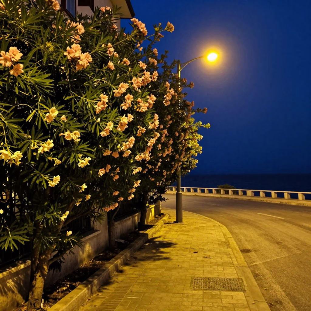 Late Night Izmir Street Scene with Oleander Hedge and Coastal Lighting in in Izmir, Turkey