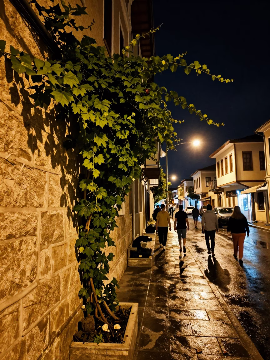 Late Night Izmir Street Scene with Vine and Fossil Shale Cliff Details in in Izmir, Turkey