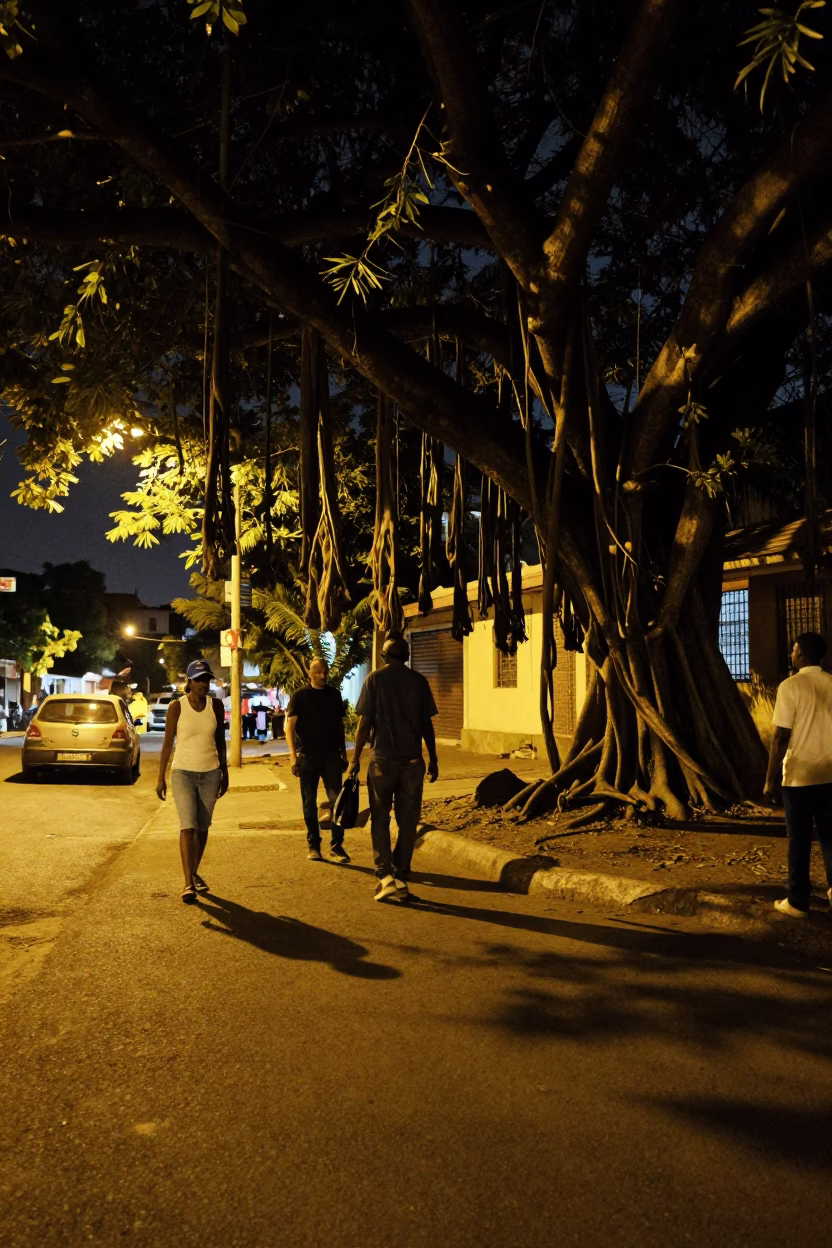 Late Night Johannesburg Street Scene with Strangler Fig and Urban Life in in Johannesburg, South Africa