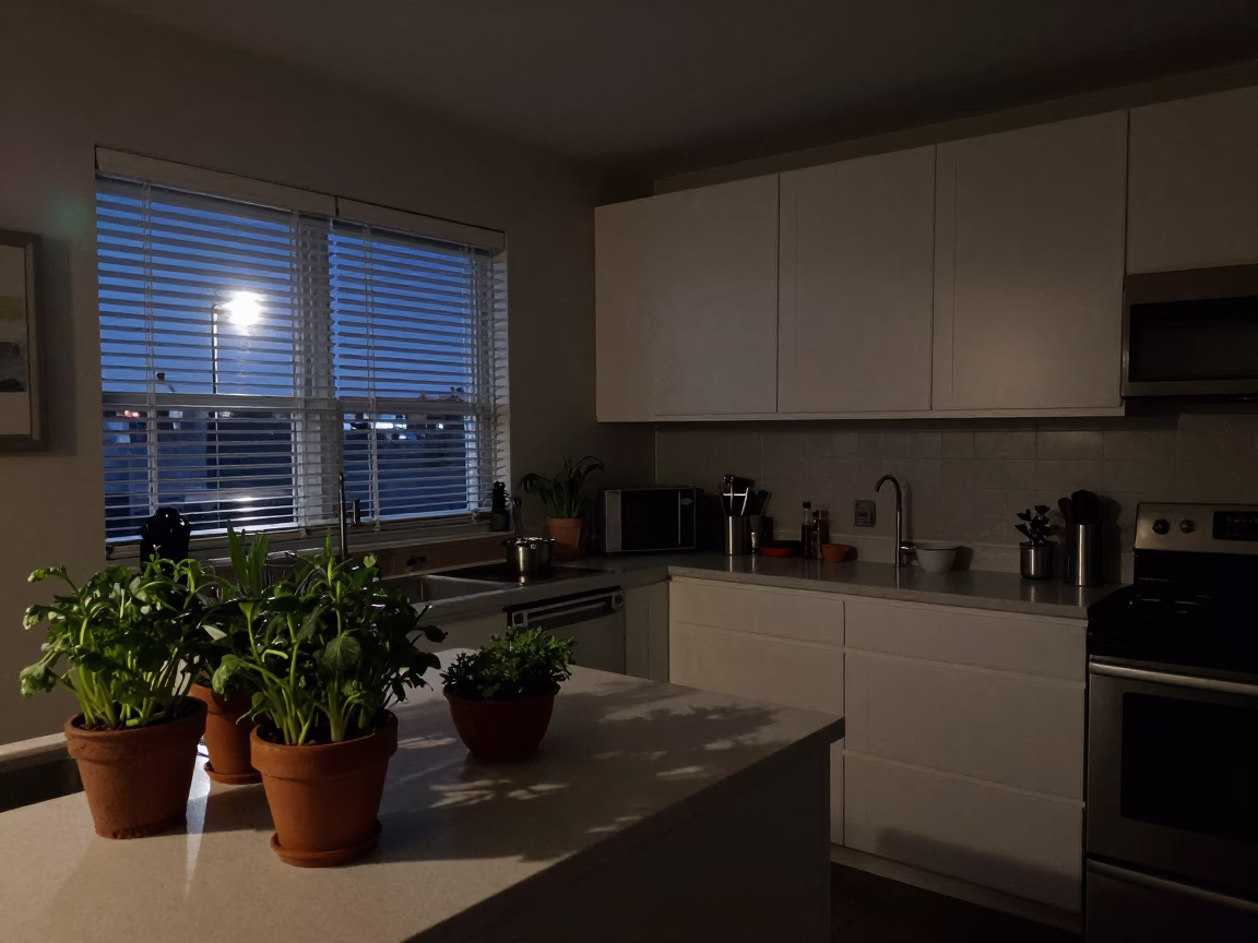 Late Night Los Angeles Kitchen Scene with Potted Herbs and Kitchen Timer in in Los Angeles, California, United States