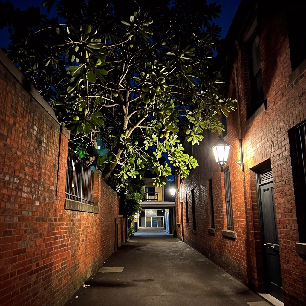 Late Night Melbourne Laneway with Fig Tree and Lantern Light in in Melbourne, Victoria, Australia