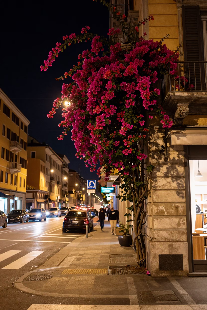 Late Night Milan Street Scene with Bougainvillea and Urban Details in in Milan, Italy