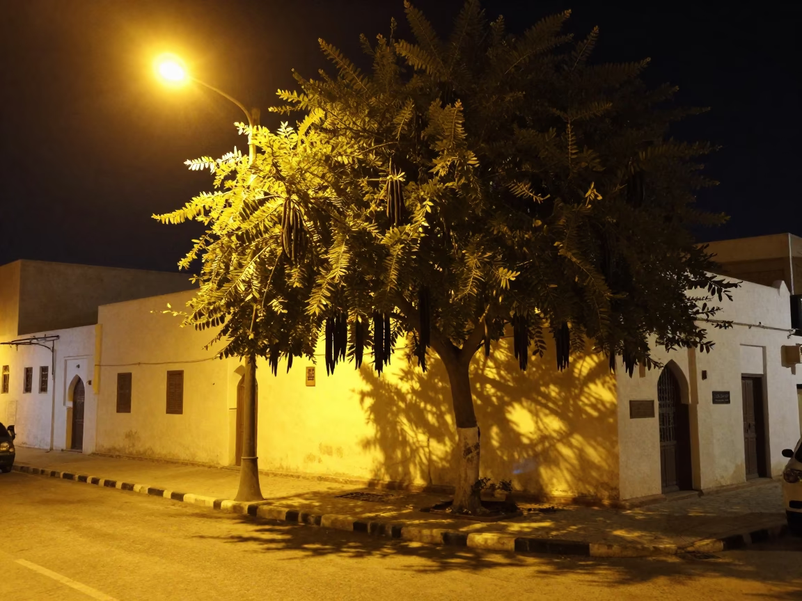 Late Night Muscat Street Scene with Tamarind Tree and Traditional Architecture in Oman in in Muscat, Oman