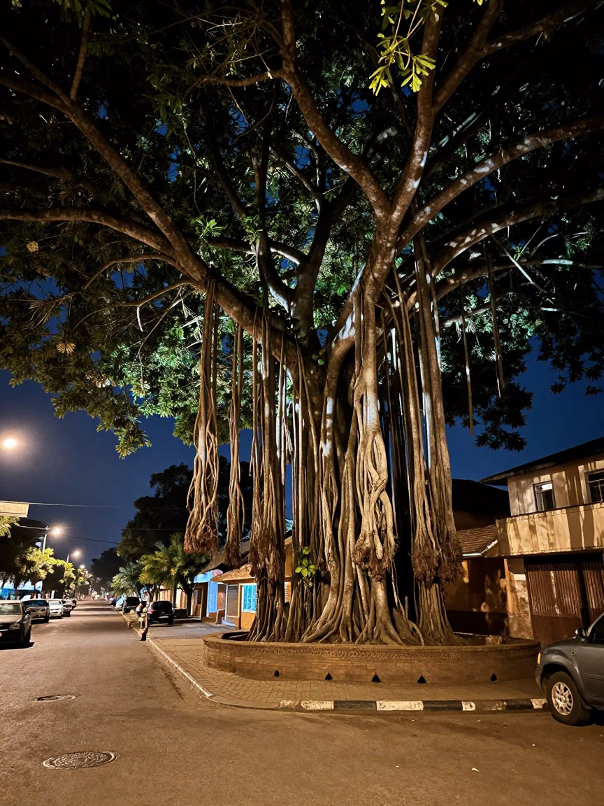 Late Night Nairobi Street Scene with Banyan Tree and Local Commerce in in Nairobi, Kenya