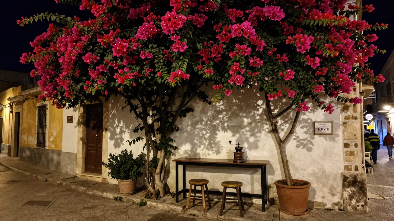 Late Night Palermo Street Scene with Bougainvillea and Cafe Details in in Palermo, Italy