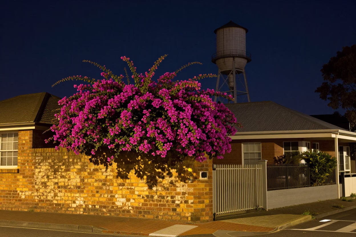Late Night Perth Rooftop Scene with Water Tower and Bougainvillea Under Streetlights in in Perth, Western Australia, Australia