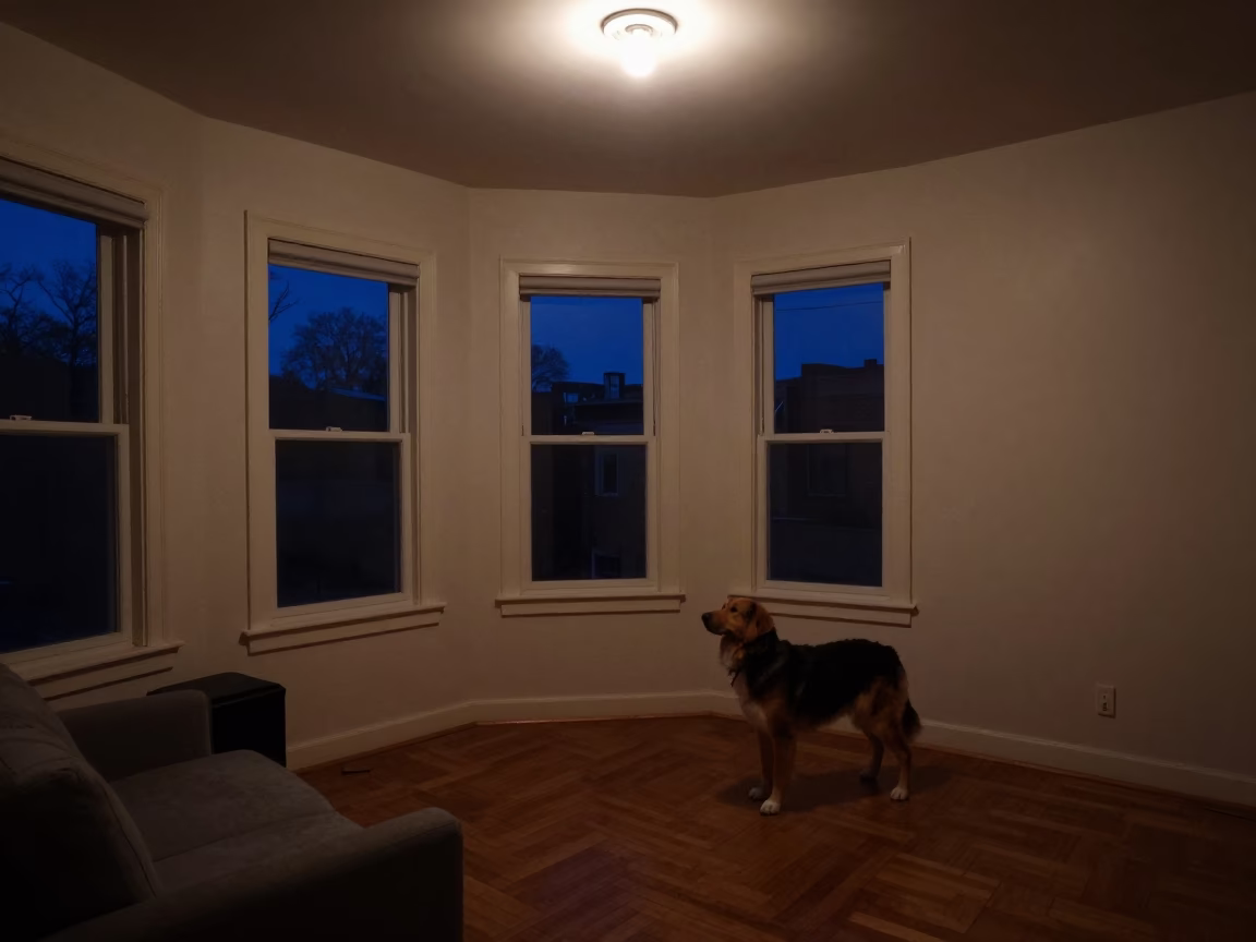 Late Night Philadelphia Apartment Interior with Greater Swiss Mountain Dog and Vintage Decor in in Philadelphia, Pennsylvania, United States