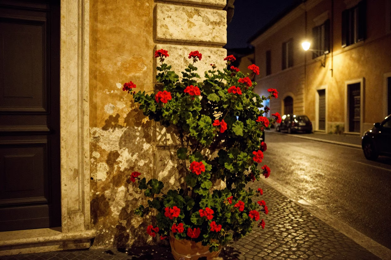 Late Night Roman Street Scene with Geraniums and Traditional Architecture in in Rome, Italy