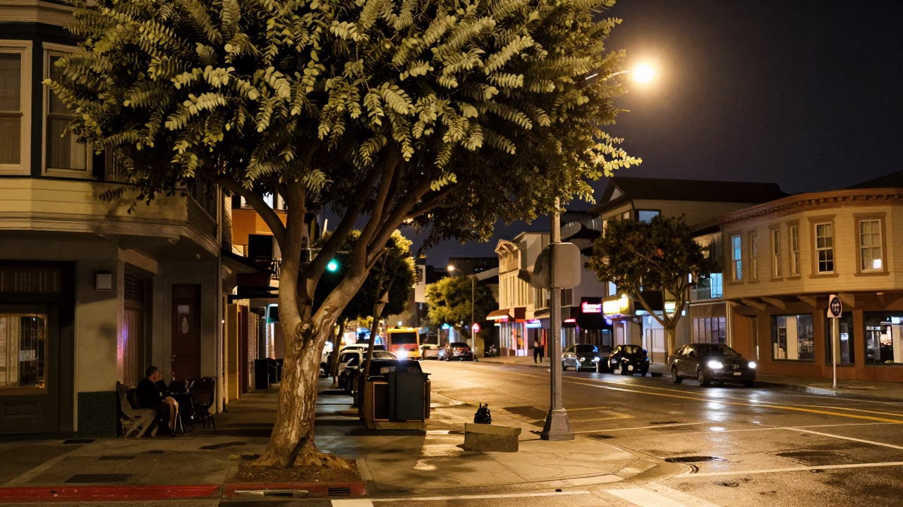 Late Night San Francisco Street Scene with Vintage Eucalyptus Trees and Urban Neon in in San Francisco, California, United States