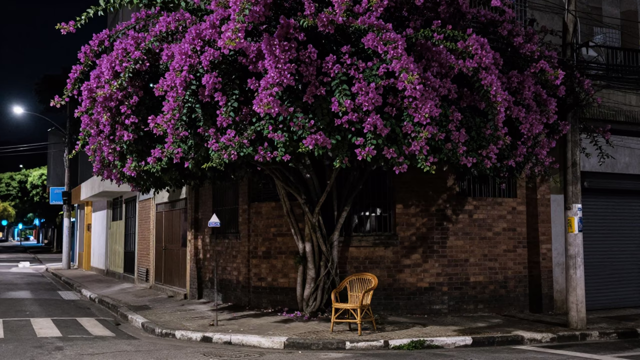 Late Night São Paulo Street Corner with Bougainvillea and Urban Details in in São Paulo, Brazil