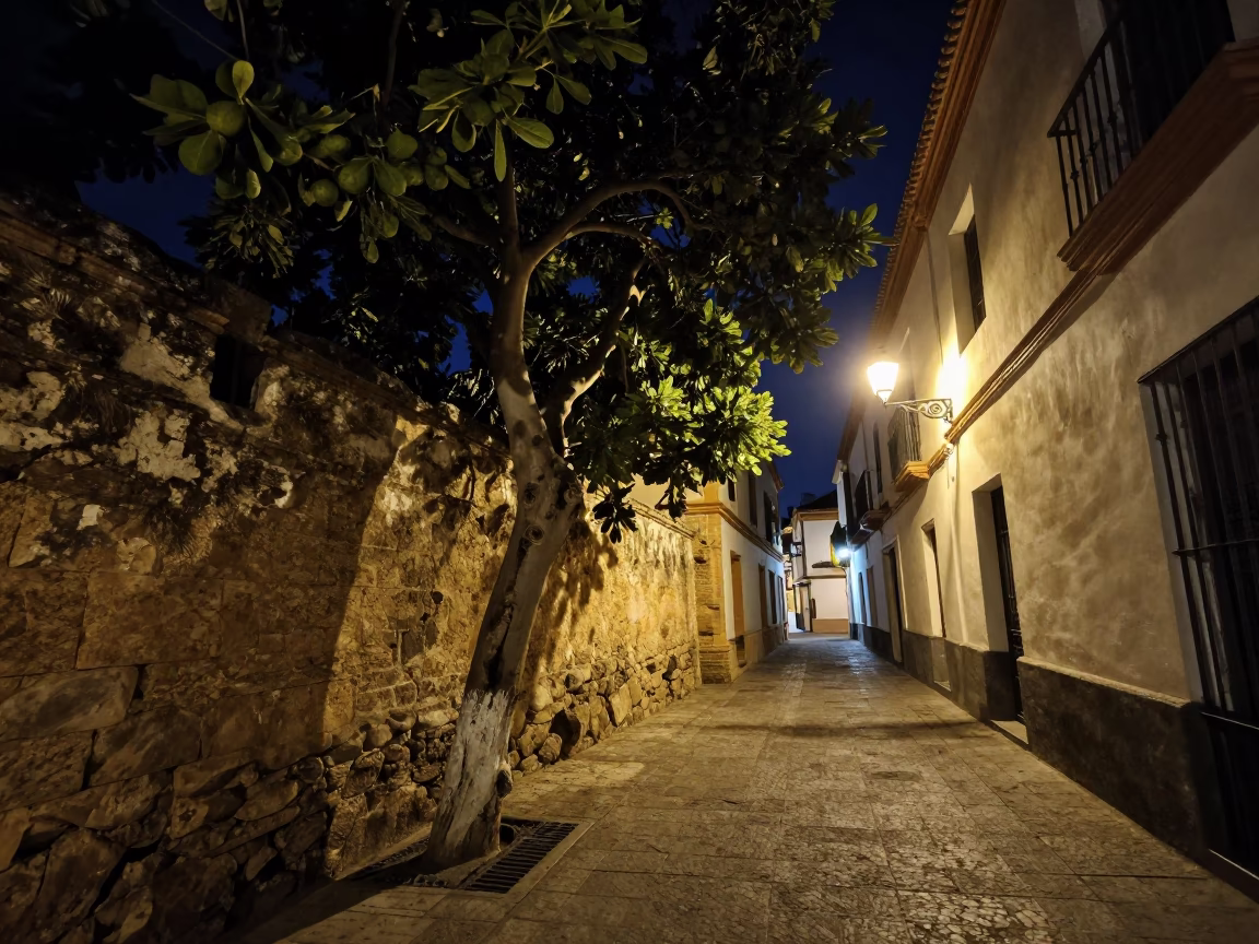 Late Night Seville Street Scene with Fig Tree and Rusty Hook Plate in in Seville, Spain