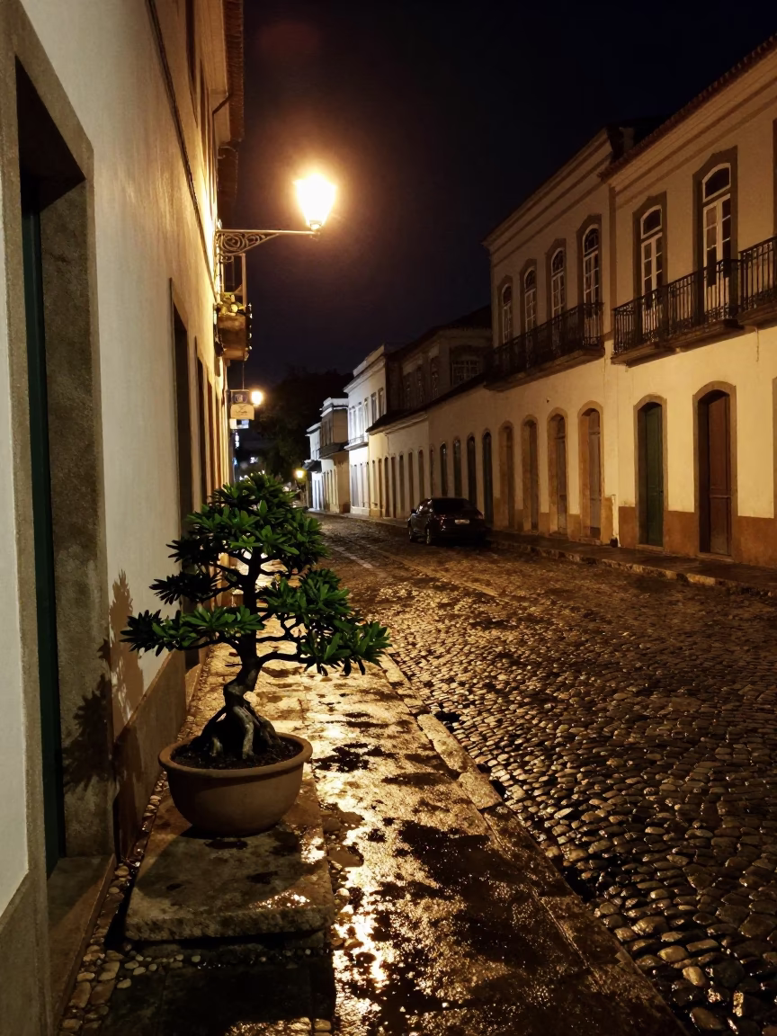 Late Night Street Scene in Salvador Brazil with Bonsai Juniper and Stone Slab in in Salvador, Brazil